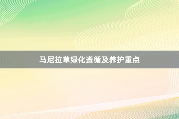 马尼拉草绿化遵循及养护重点